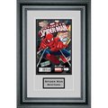 Perfect Cases Perfect Cases SCMCENG-PM Single Comic Book Frame with Engraving in Premium Moulding SCMCENG-PM